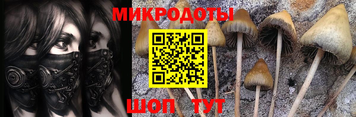Псилоцибиновые грибы мицелий Азнакаево