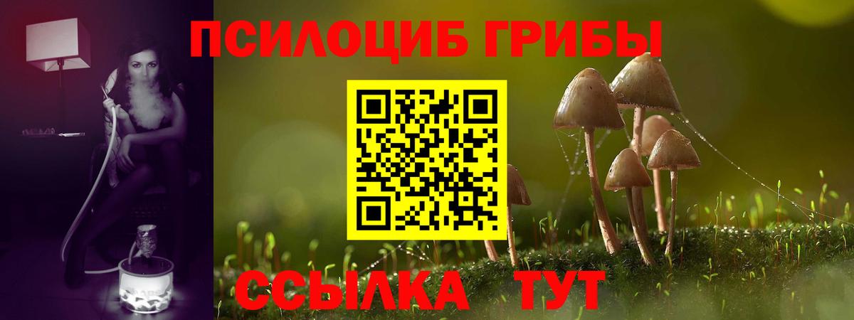 Псилоцибиновые грибы прущие грибы  Вход с VPN  Галлюциногенные грибы Psilocybine cubensis  Азнакаево 